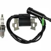 * Thsinde Bobine D'Allumage Thsidne Avec Bougie D'Allumage Compatible Avec Honda Gx110 Gx120 Gx140 Gx160 Gx200 5.5Hp 6.5Hp Generateur De Moteur De Tondeuse A Gazon> Accessoire Pour Tondeuse Et Autoportée