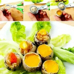 * Thsinde Lot De 4 Ciseaux A Oeufs De Caille, Ciseaux A Oeufs De Caille En Acier Inoxydable, Petits Ciseaux A Oeufs De Caille><noscript><img width=