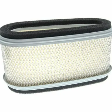 * Vhbw Lot De Filtres Compatible Avec Moteur Fc420V S07 Moteur Pour Moteur De Tondeuse A Gazon 2X Filtres De Rechange (1X Filtre A Air, 1X Prefiltre)> Accessoire Pour Tondeuse Et Autoportée